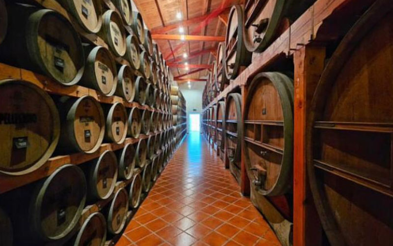 Marsala Wine Tour